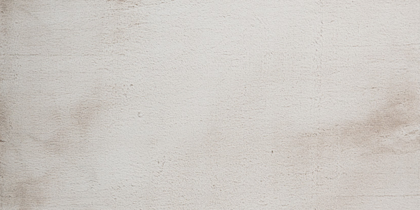 Beige vloerkleed