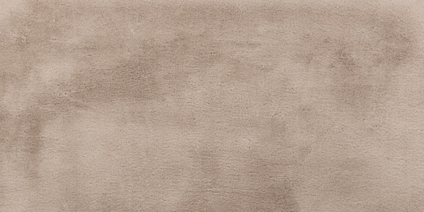 Licht Taupe vloerkleed