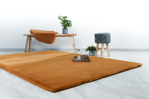 Koperkleurig Could vloerkleed als warme eyecatcher in een gezellige woonkamer