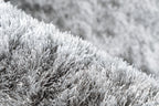 Close-up van golvende structuur van zilvergrijs Softwave vloerkleed met fijne vezels
